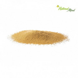Zenzero naturale in polvere biologico antiossidante dimagrante superfood Biokyma – NATURALMIND –